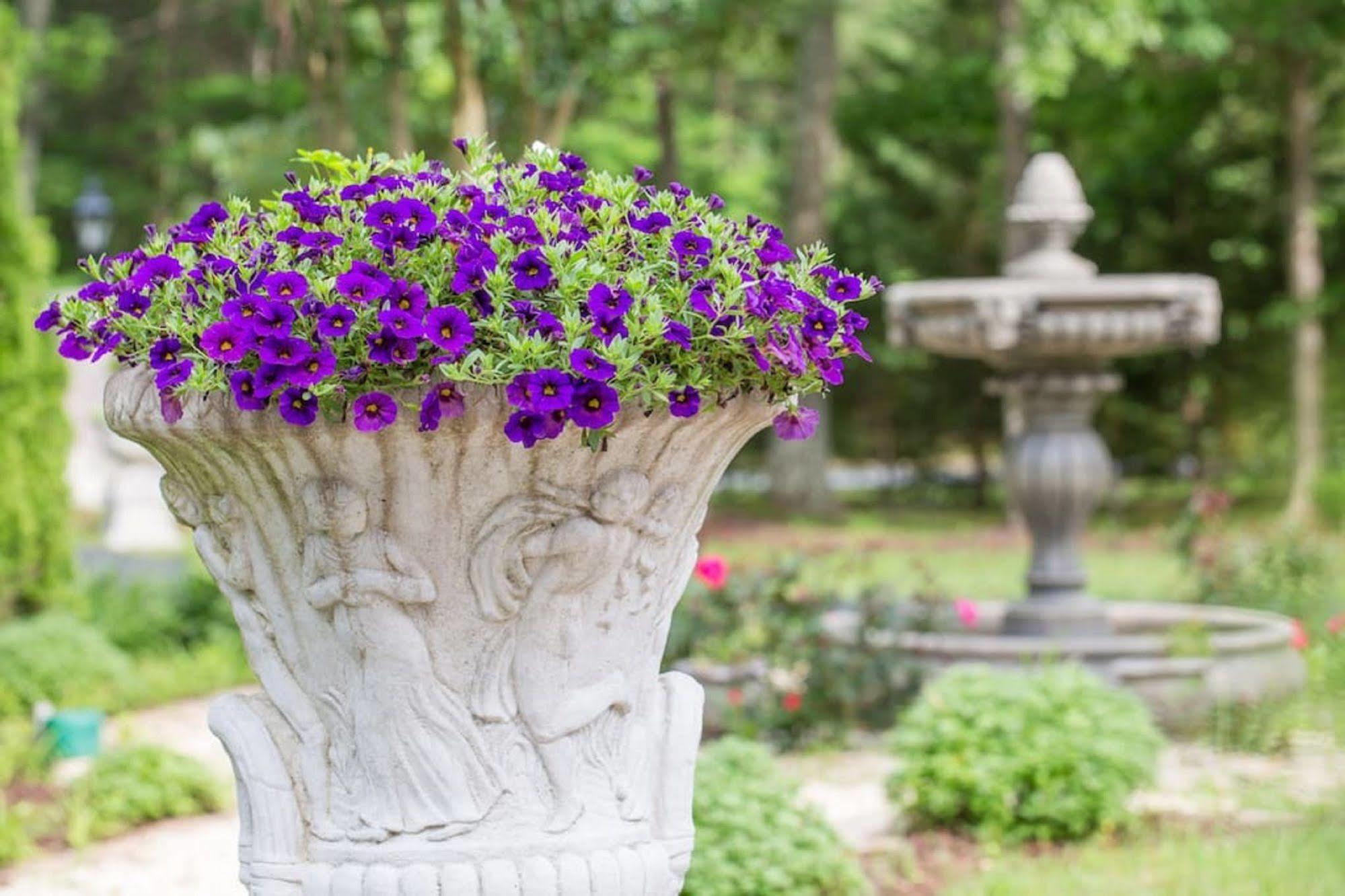 Rosewood Manor Bed & Breakfast Port Tobacco Екстериор снимка
